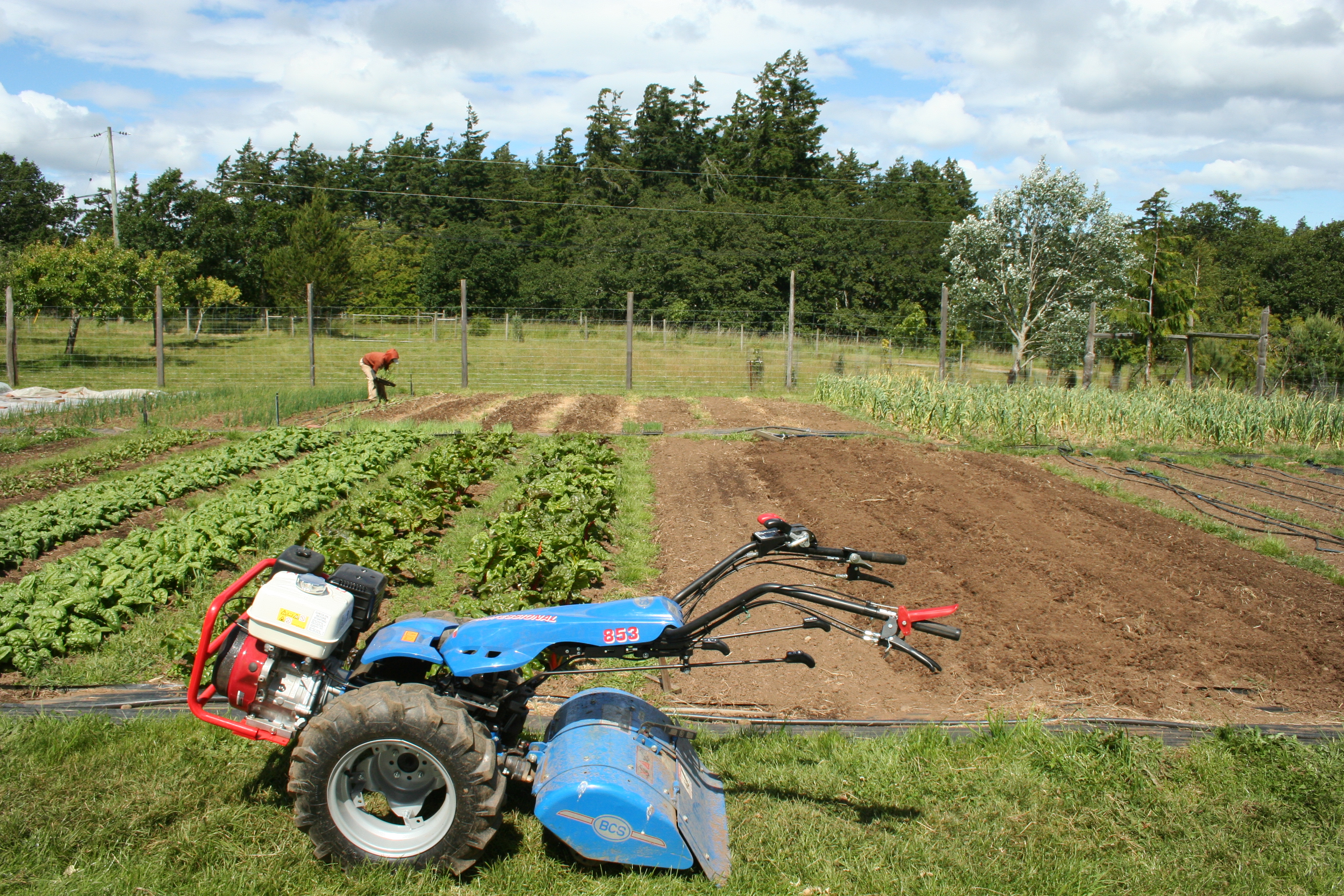 The brand new (and beloved) BCS walking tractor